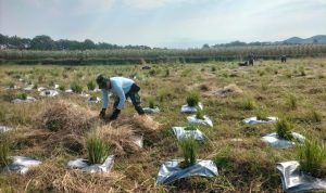 0e451768-4e61-42b1-8231-4d940bb5bfbd