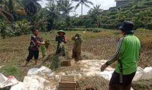 13fbd57c-62ae-44cf-a985-891d4027a7fb