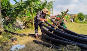 2b40d122-d3b2-4656-8fe9-ce3e648365fb