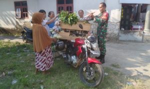 49255e50-0cdf-4cc5-aefa-0870dddbf861