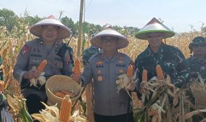 4ddd8e2c-4de9-4b53-bf9a-303882914dbe