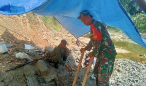 cc358058-06ba-4dab-89bd-3e62551a6461