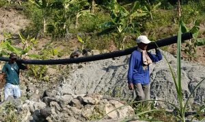 d9341b4a-0532-458c-8e6a-3feda381d880