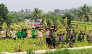 53e4d75d-fa77-4aba-98af-09a425ba8972