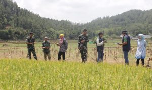 WhatsApp Image 2024-11-07 at 17.58.32