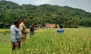 WhatsApp Image 2024-11-12 at 17.03.43