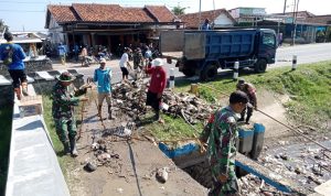 WhatsApp Image 2024-11-13 at 13.15.33