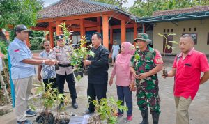 WhatsApp Image 2024-11-18 at 19.13.54