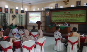 WhatsApp Image 2024-11-22 at 14.07.43 (1)