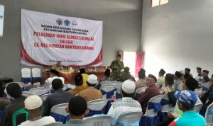 WhatsApp Image 2024-12-12 at 09.19.54