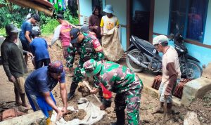 WhatsApp Image 2025-01-22 at 17.39.48 (3)