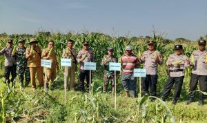 WhatsApp Image 2025-05-05 at 15.25.44