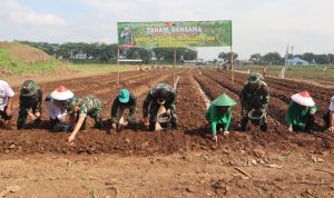 WhatsApp Image 2025-05-07 at 14.26.21