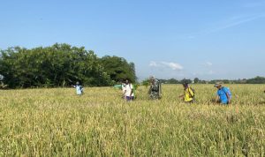 WhatsApp Image 2025-06-26 at 13.13.18 (1)