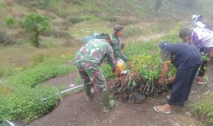 WhatsApp Image 2025-06-29 at 16.11.49