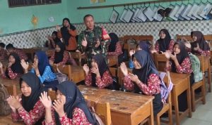 WhatsApp Image 2026-02-13 at 11.23.13