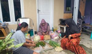 WhatsApp Image 2026-02-15 at 08.52.15