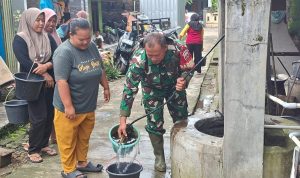 WhatsApp Image 2026-02-15 at 16.54.21