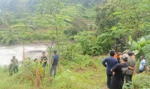 WhatsApp Image 2026-03-29 at 16.16.15