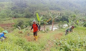 WhatsApp Image 2026-04-01 at 09.33.03