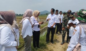 WhatsApp Image 2026-04-01 at 13.12.39