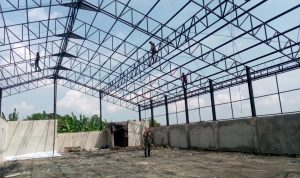 WhatsApp Image 2026-04-11 at 11.50.33