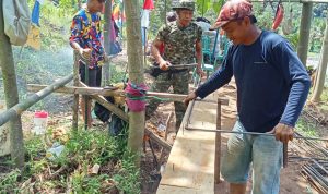 WhatsApp Image 2026-04-16 at 03.05.32